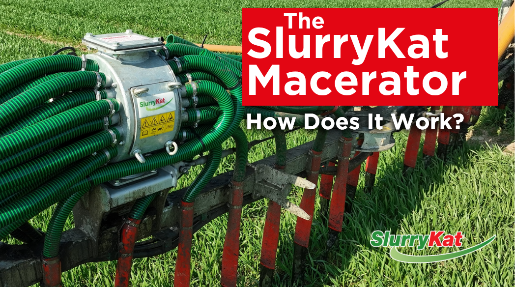 Macerator---Website-news-front-cove_20260402-134839_1