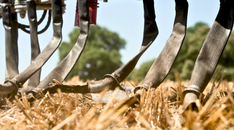 The SlurryKat Farm Shoe